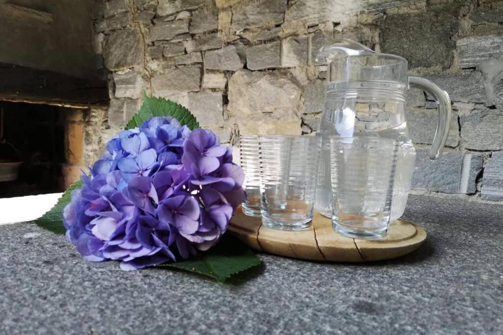 Casa Cantoni Lavizzara Bagian luar foto